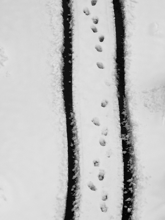 2014_2_15_03.jpg