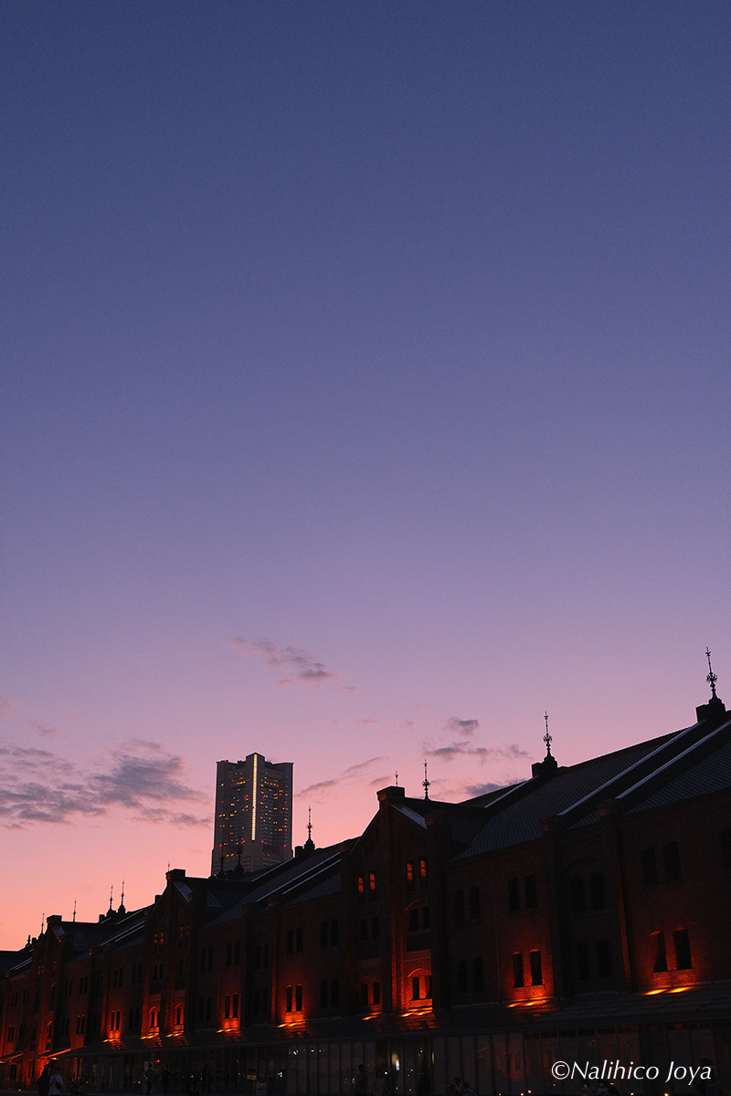 DSCF0068_01a_02a.jpg