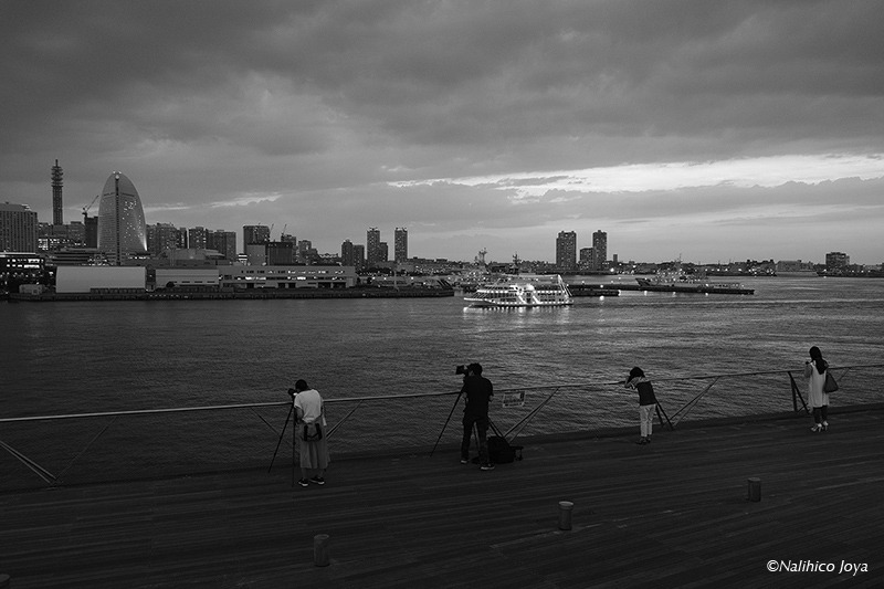 DSCF0330_01aa.jpg