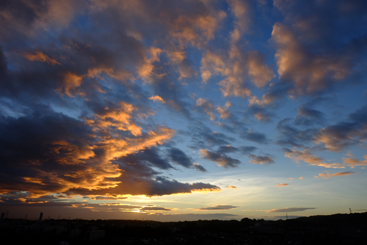 DSCF0647_01a.jpg