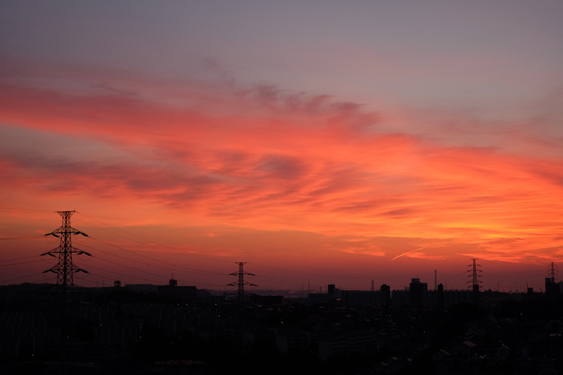 DSCF0809_01a.jpg