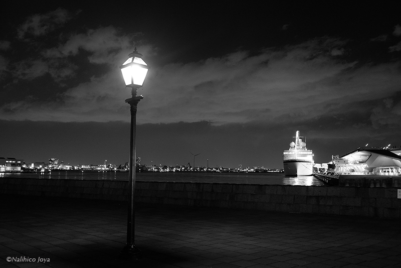 DSCF1428_01a.jpg