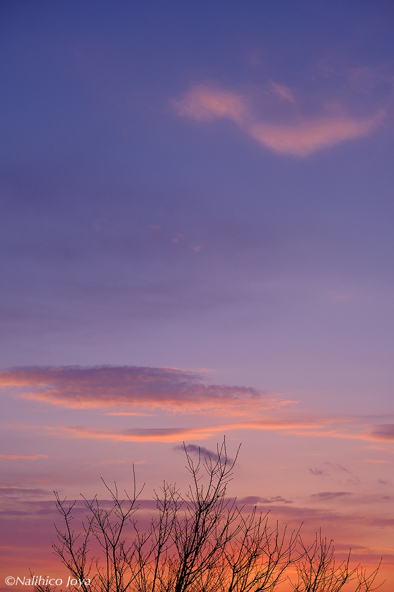 DSCF2311_02a.jpg