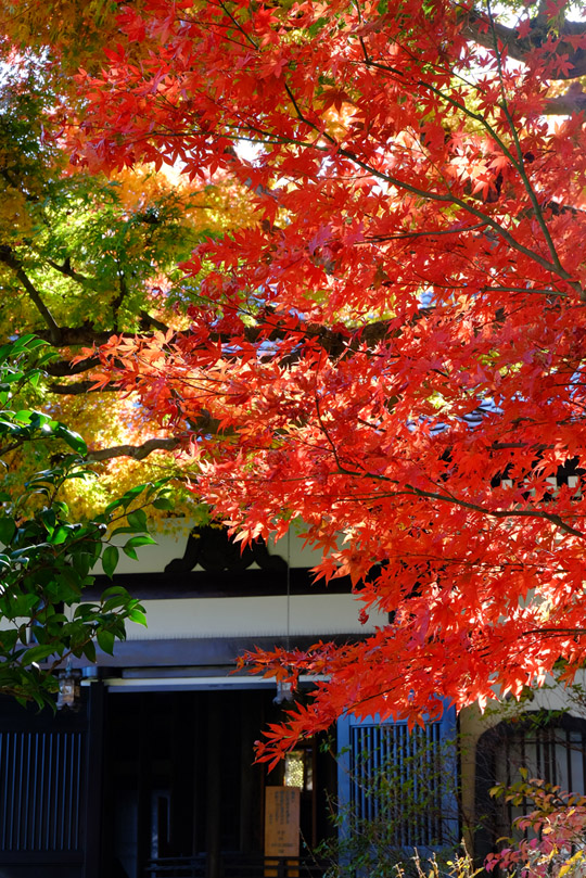 DSCF2383_01a.jpg
