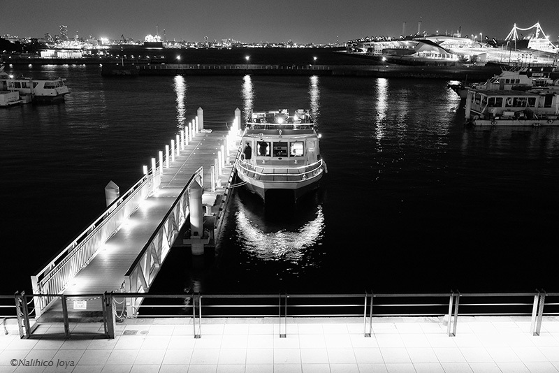 DSCF2404_01a.jpg