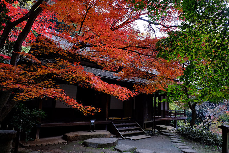 DSCF4639_01a.jpg