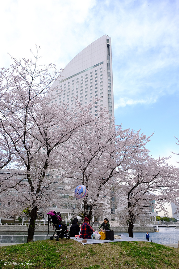 DSCF4749_02a.jpg