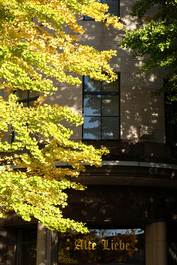 DSCF4841_01a.jpg