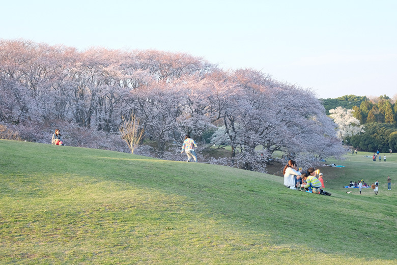 DSCF9316_01a.jpg