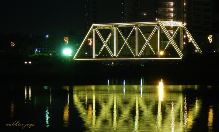 IMGP0453_01a.jpg