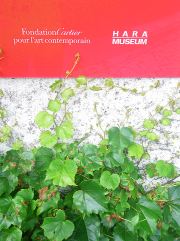 IMGP1216_02.jpg