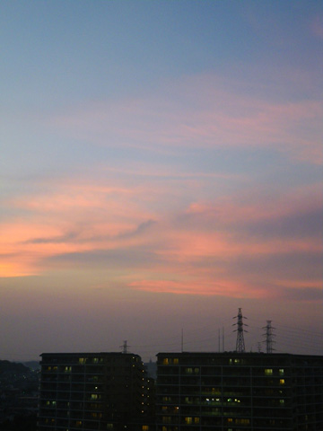 IMGP2237_02.jpg