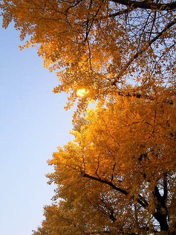 IMGP3503_02.jpg
