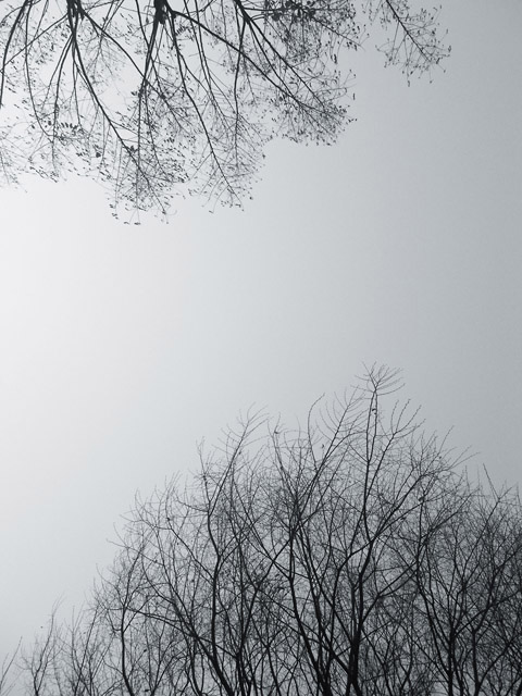 IMGP4232_02a.jpg