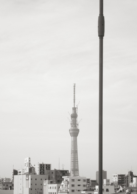 IMGP5950_02a.jpg