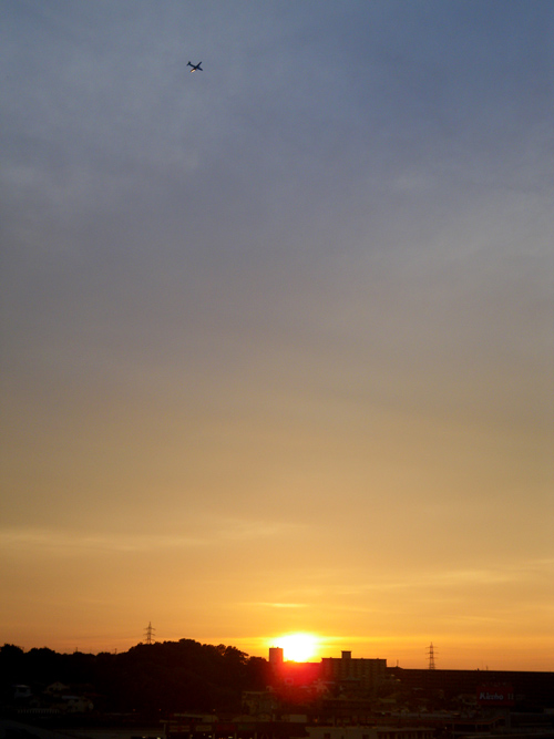 IMGP6115_01a.jpg