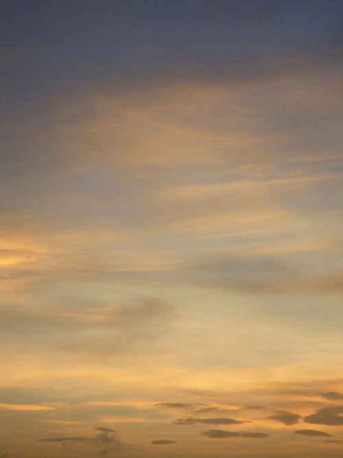 IMGP6844_01a.jpg