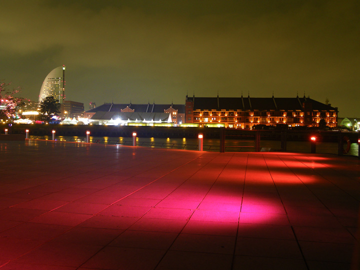 IMGP8521_01a.jpg