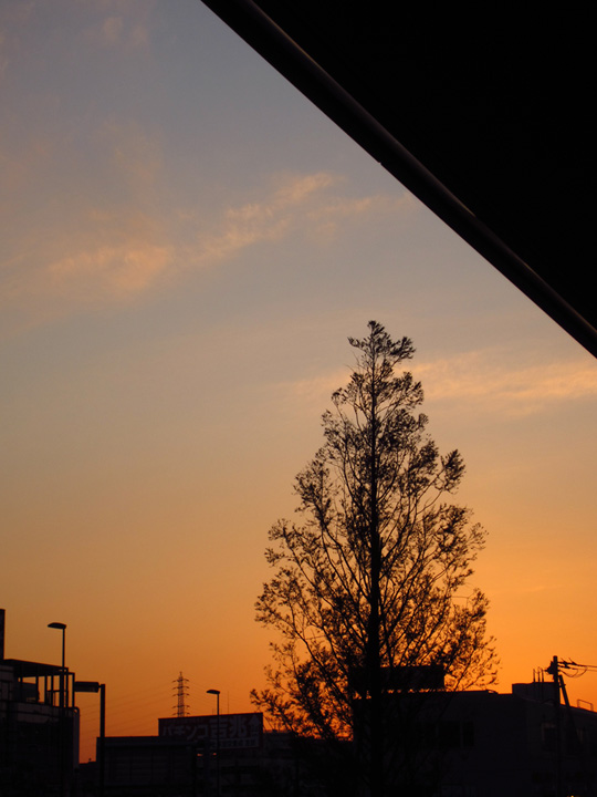 IMG_0813_01a.jpg