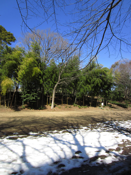 IMG_4834_01a.jpg