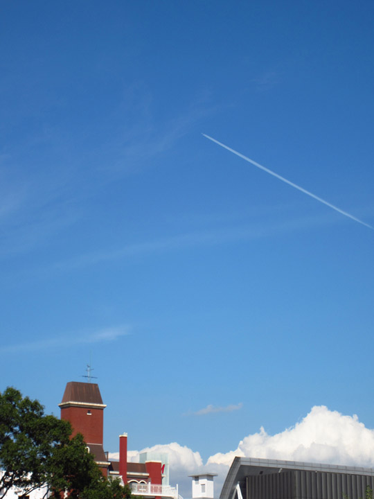 IMG_5890_01a.jpg