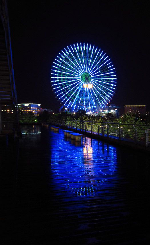IMG_6532_02a.jpg