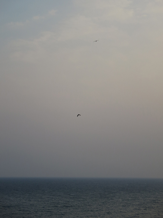 IMG_7127_01a.jpg