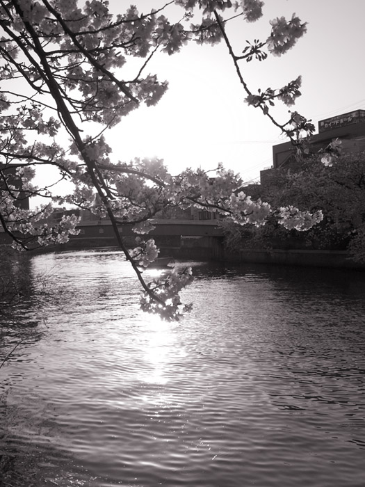 P4088912_03a.jpg