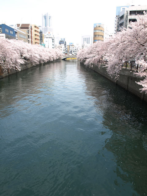 P4114024_01a.jpg