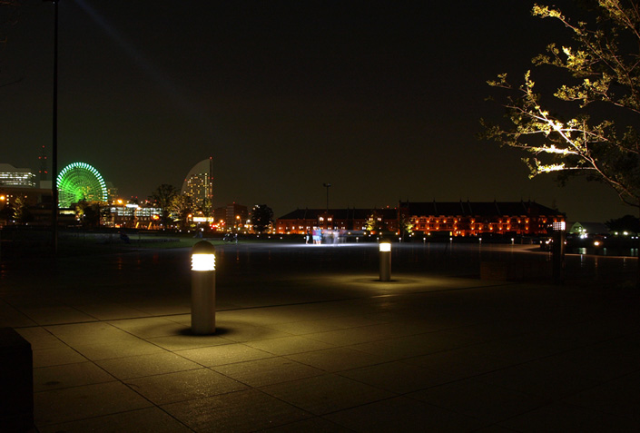 P8115006_01b.jpg